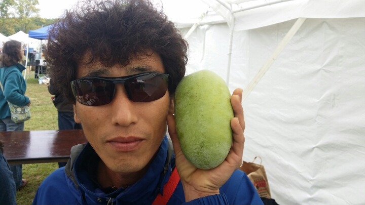 포포 이미지