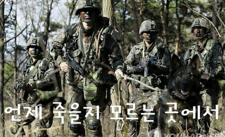 대한민국 군인들 화이팅 | 인스티즈