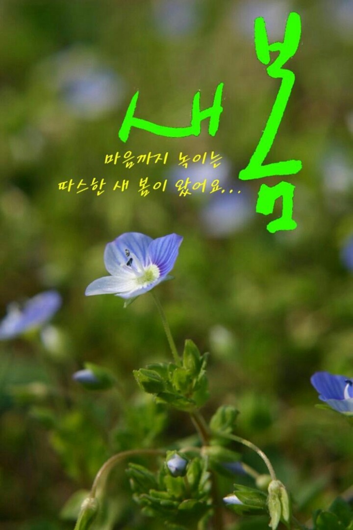 울림에향기 이미지