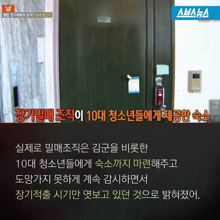 장기밀매의 진실 | 인스티즈