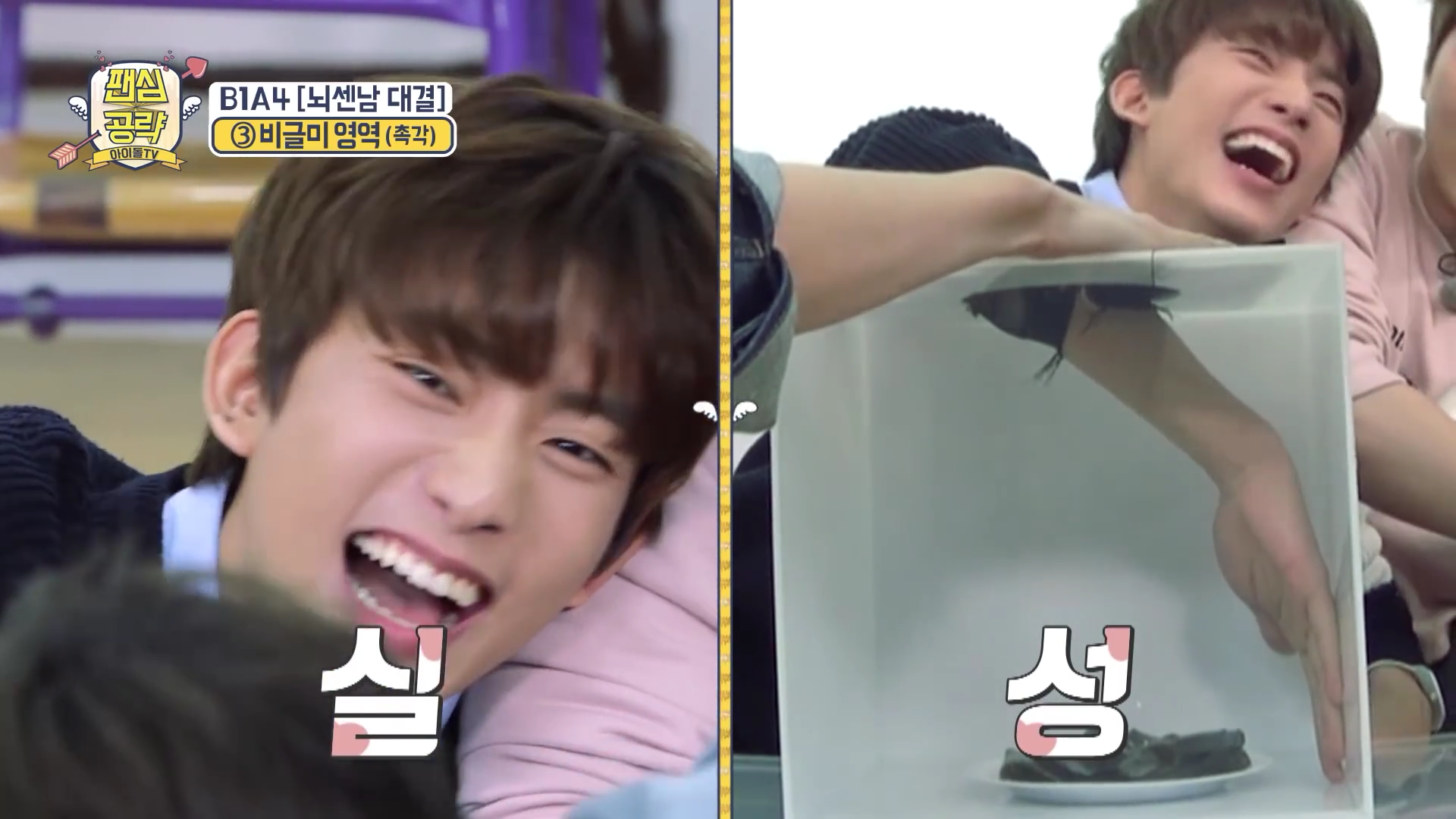 다시마 만지고 우는 아이돌ㅋㅋㅋㅋ.jpgif | 인스티즈