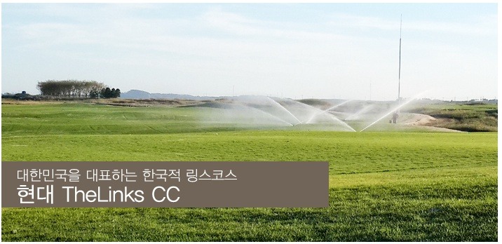 피링스 이미지