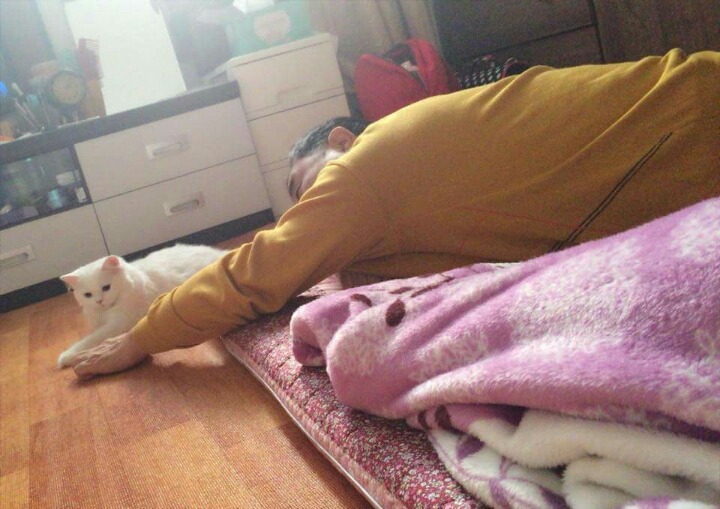 집에 고양이 데려오지 말라던 아부지 . JPG | 인스티즈