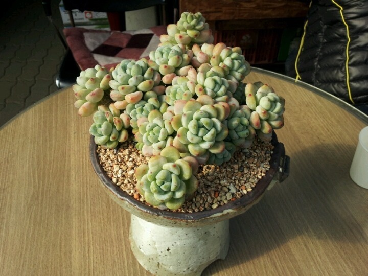 구정반찬 이미지
