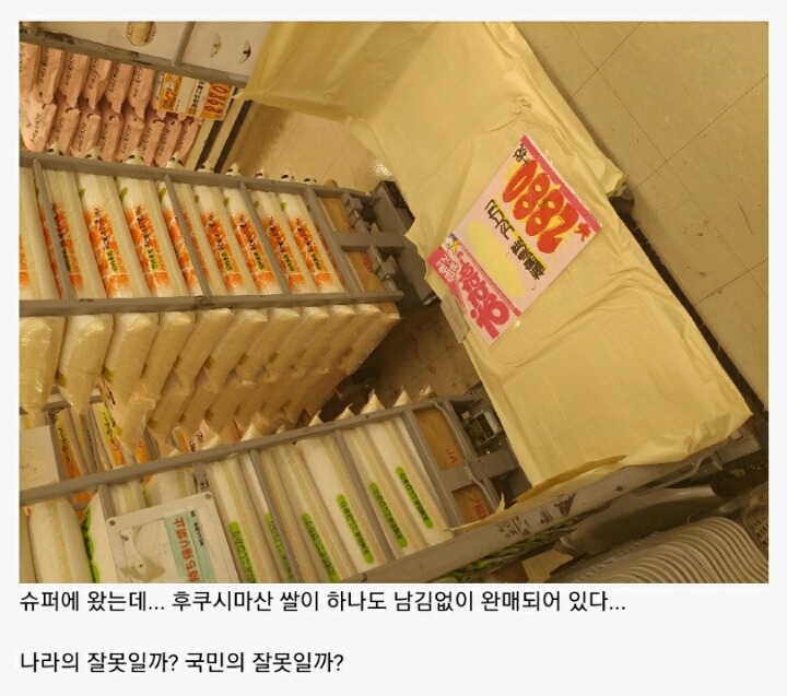 일본인들의 무서움 | 인스티즈