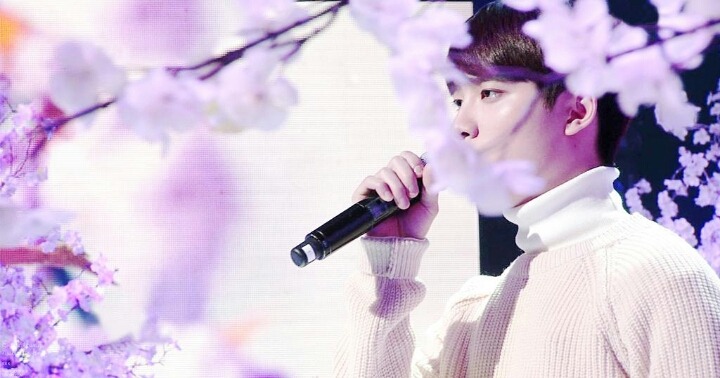 엔서 이미지
