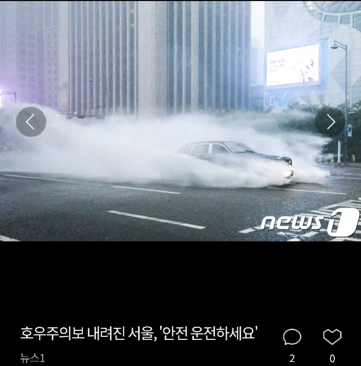 침수된 차량 위에 올라간 고양이 | 인스티즈