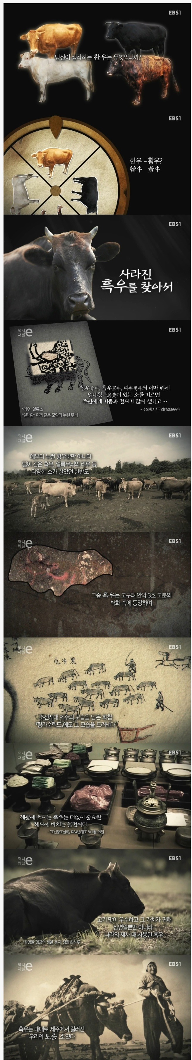 일본이 강탈해간 흑우 | 인스티즈