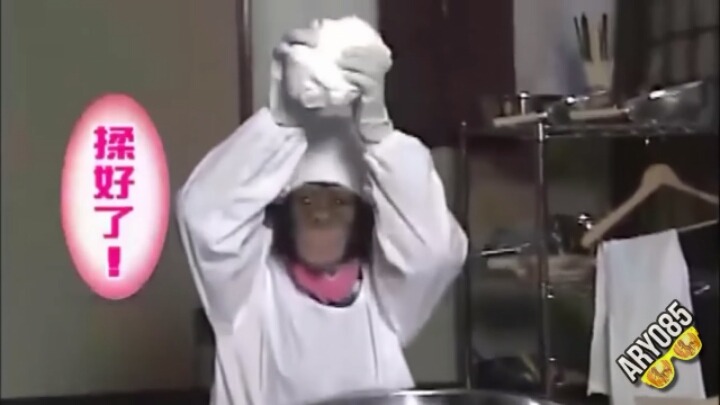 요리하는 침팬치 | 인스티즈