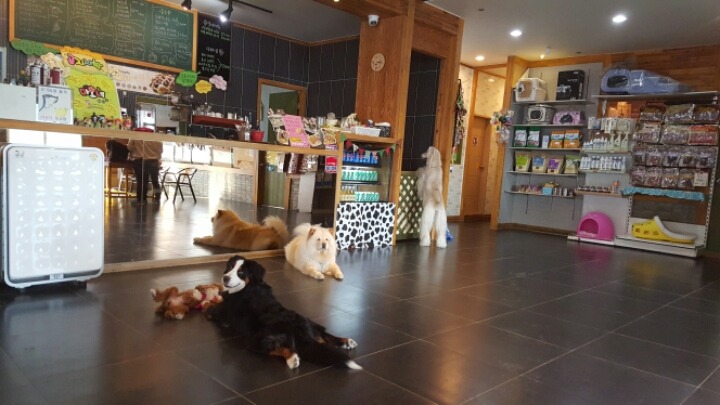 장군카페 이미지