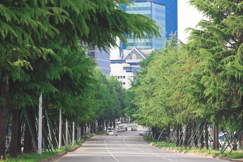 아프리카 4대도시.jpg(+대한민국 대구) | 인스티즈