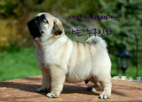산사랑 이미지
