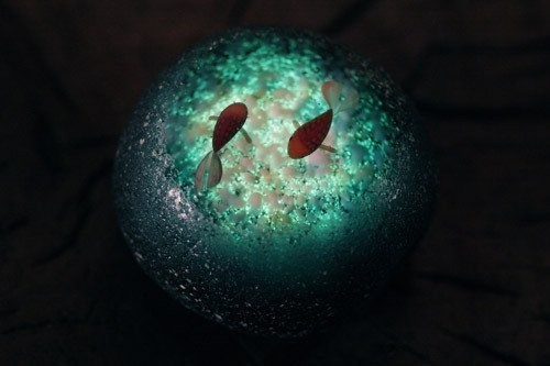 일본의 구슬 장인ㄷㄷㄷ | 인스티즈