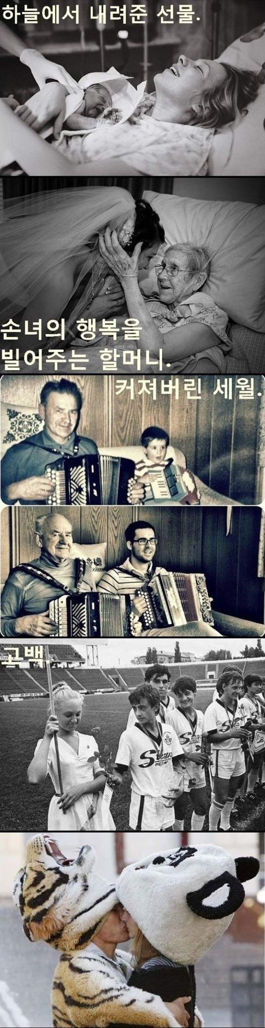 가슴 먹먹해지는 사진들 | 인스티즈