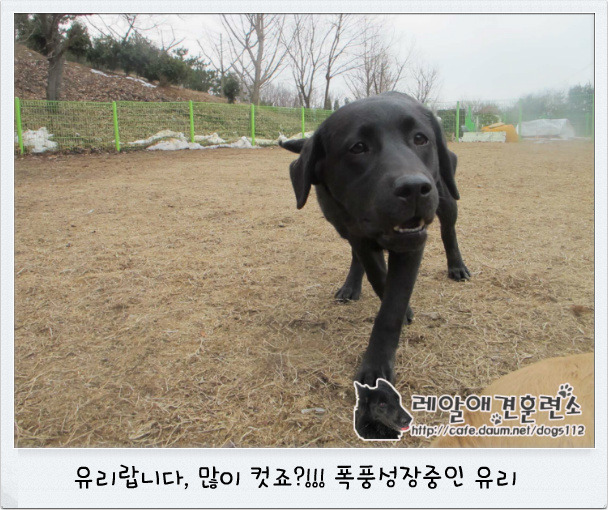 지우유리 이미지