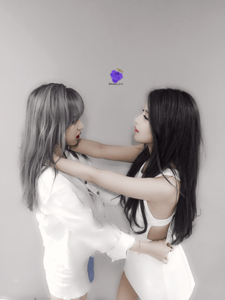 별콩 이미지
