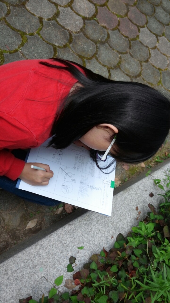 안민초등학교 이미지