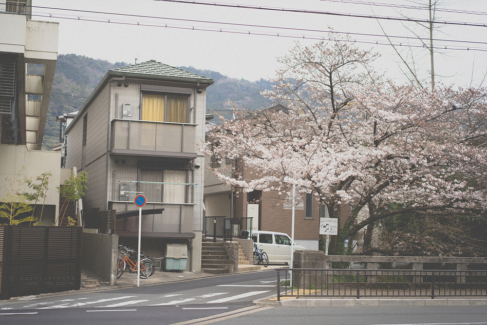 스냅사진 위주의 유치진지한 여행기 - 오사카&교토 (3) | 인스티즈