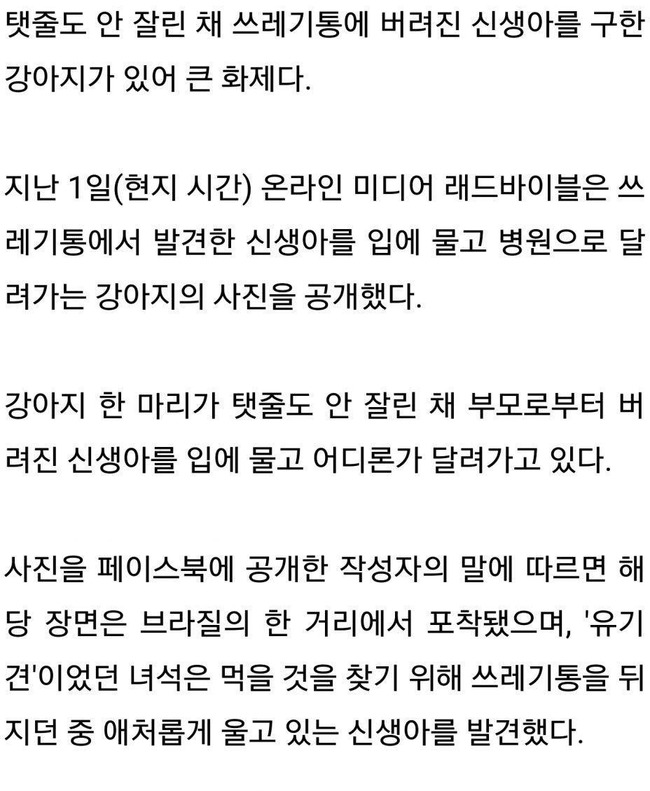 신생아 구한 유기견 | 인스티즈