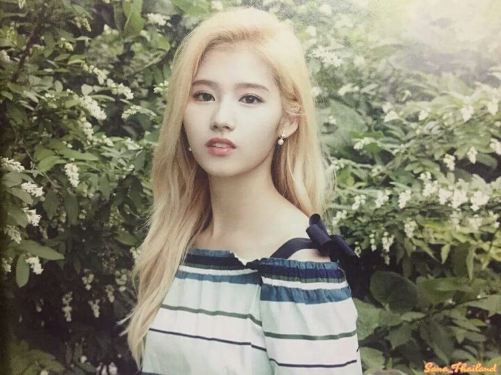사나 비주얼에 대한 오해.gif | 인스티즈