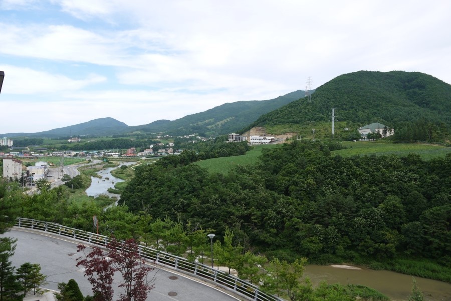 대관령식당 이미지