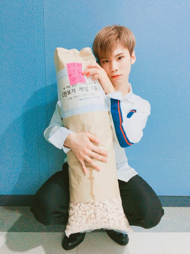 아로하 이미지