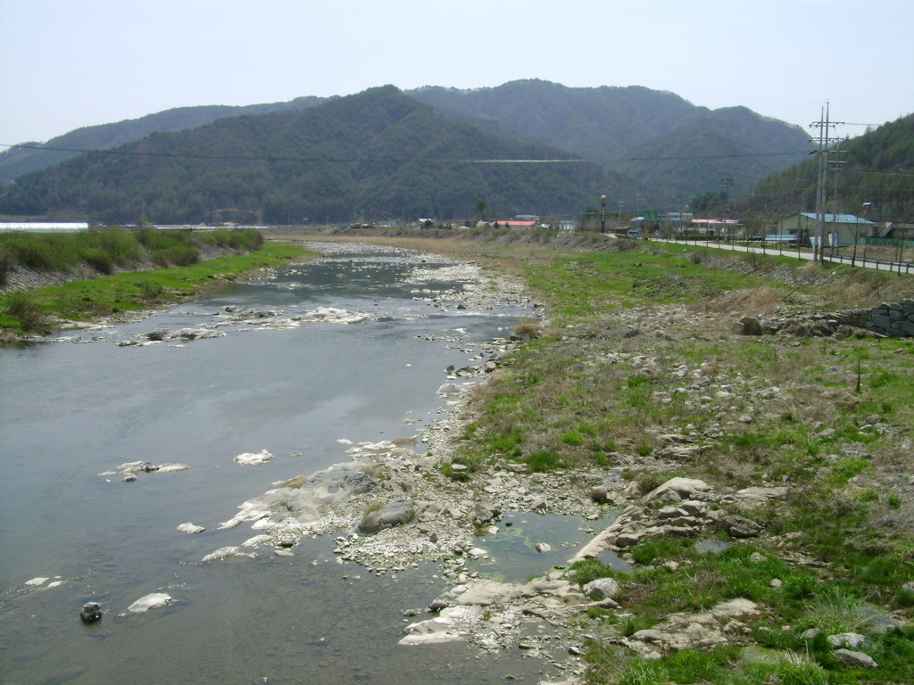 정바우 이미지