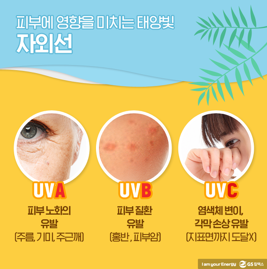 내가 여름을 사랑할 수 없는 8가지 이유.jpg | 인스티즈
