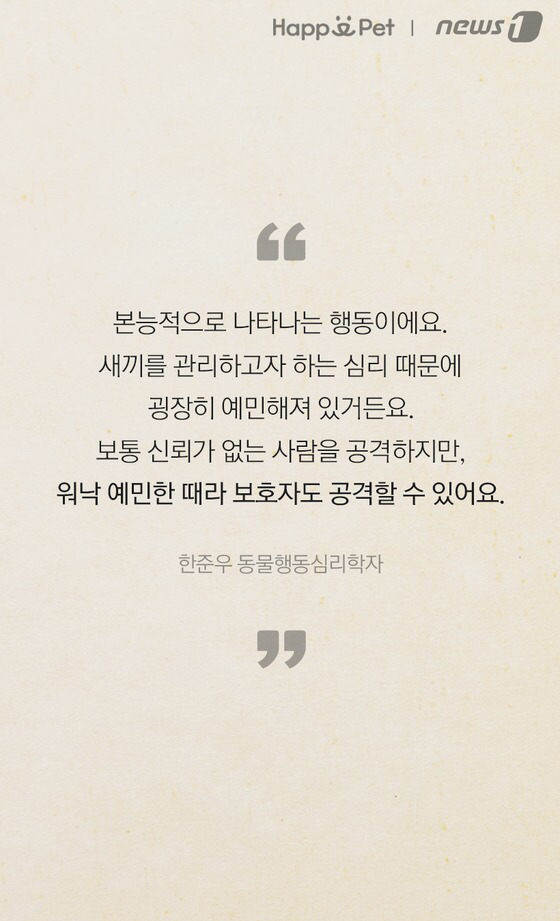 세상에 안 무는 개는 없다 | 인스티즈