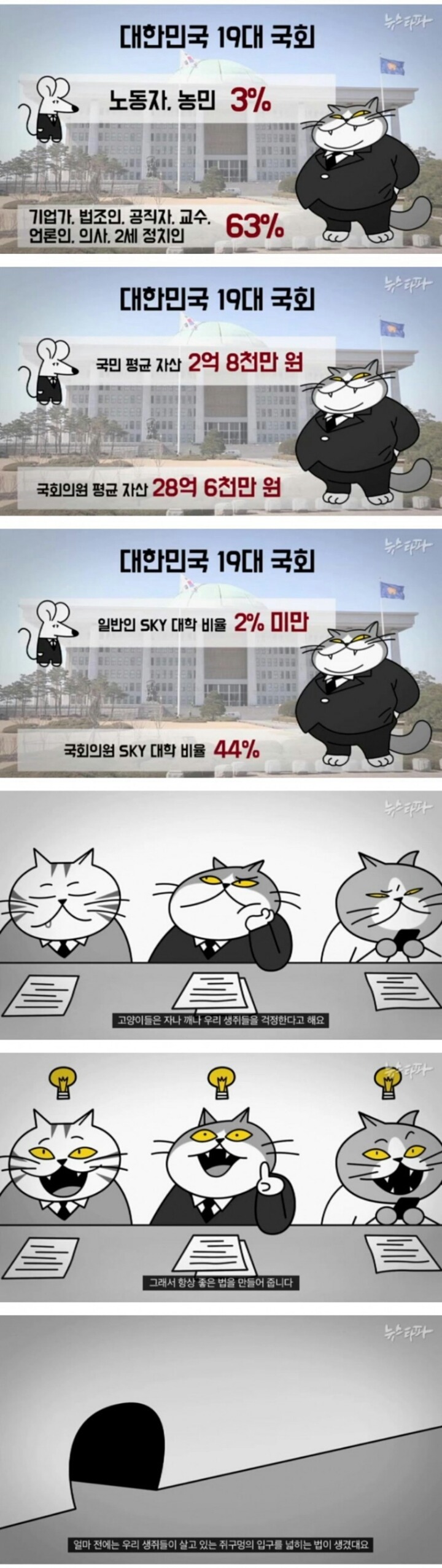생쥐와 고양이.jpg | 인스티즈