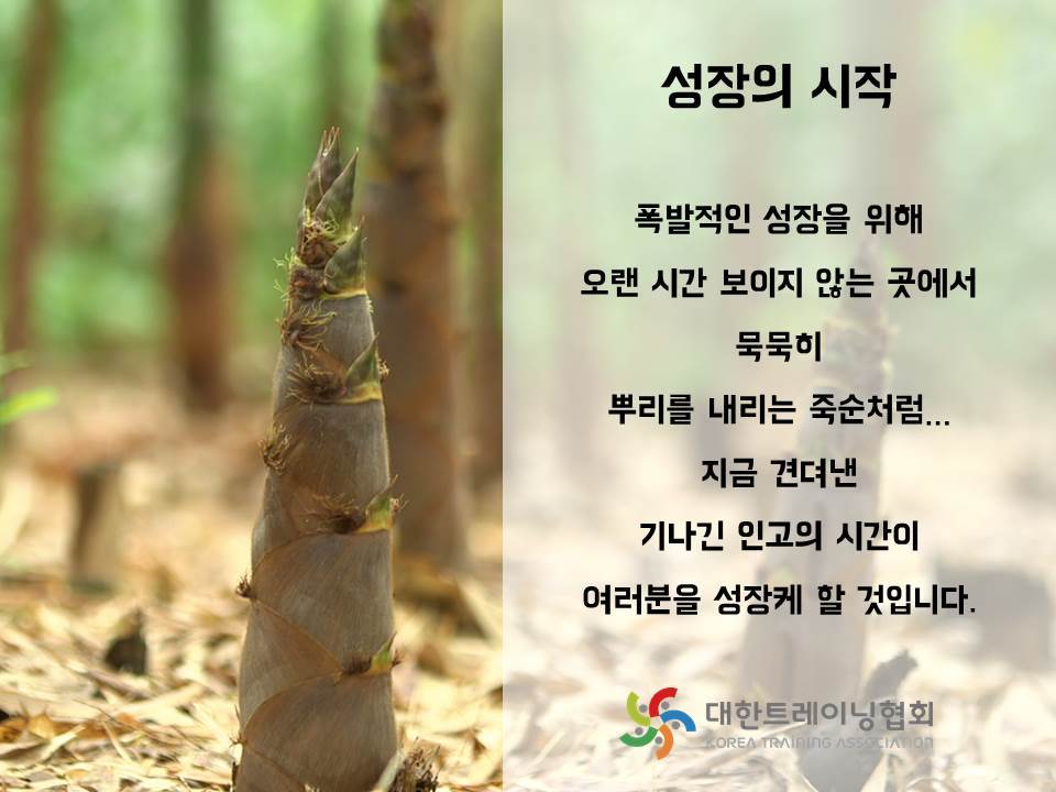 대한트레이너교육협회 이미지