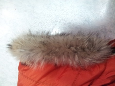 썰즈데이 이미지