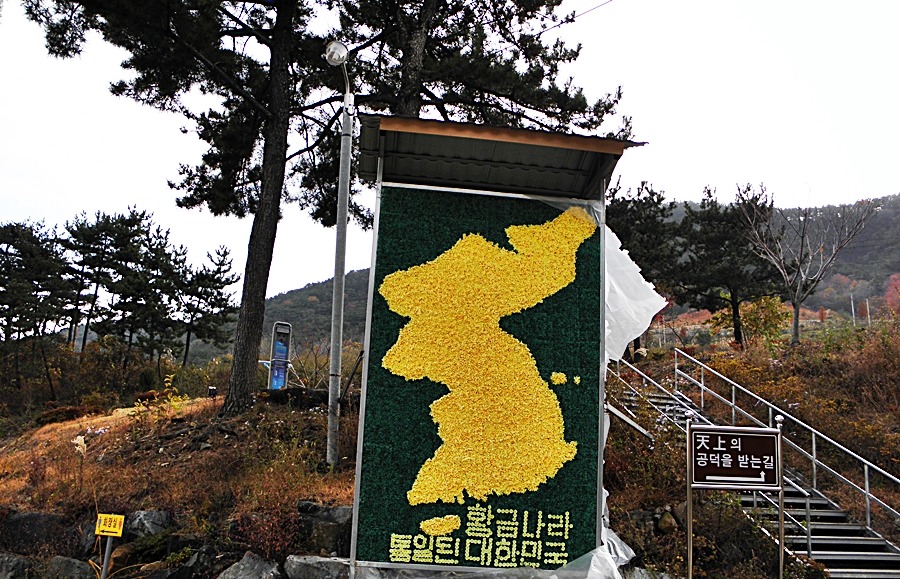돼지가왔소 이미지