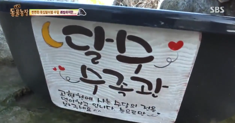 매일 생선털리는 횟집사장님 (Feat.달수) | 인스티즈