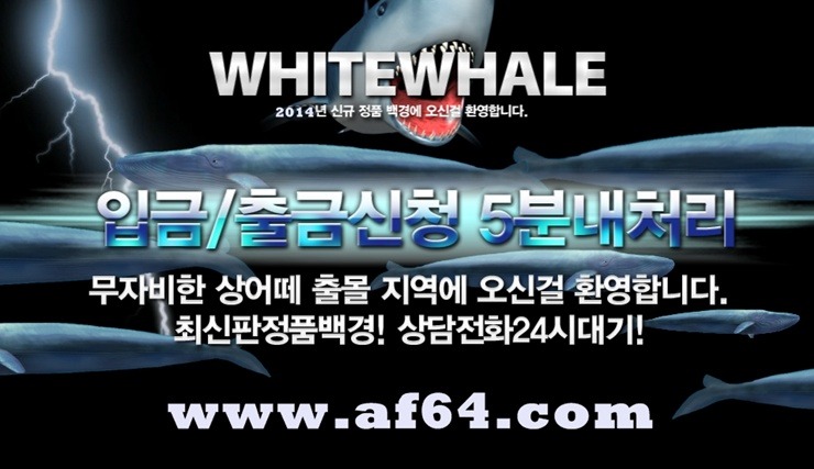 상어통신 이미지