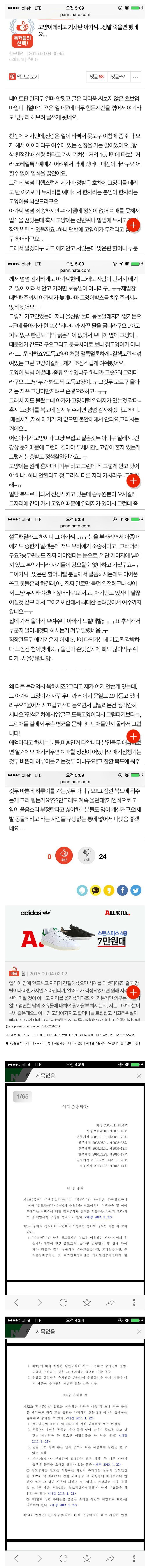 고양이를 데리고 기차탄 아가씨 | 인스티즈