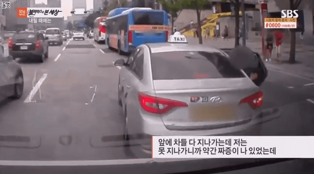 택시승객으로 인한 인사사고로 인해서 억울해하는 관광버스기사님 | 인스티즈
