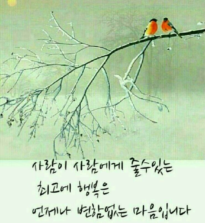 천운 이미지