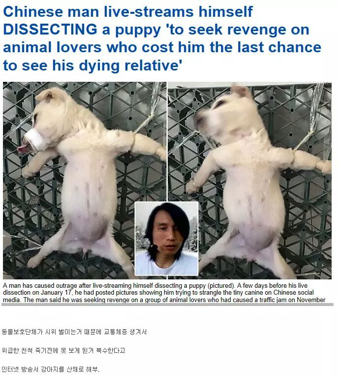 어이없는 복수 | 인스티즈