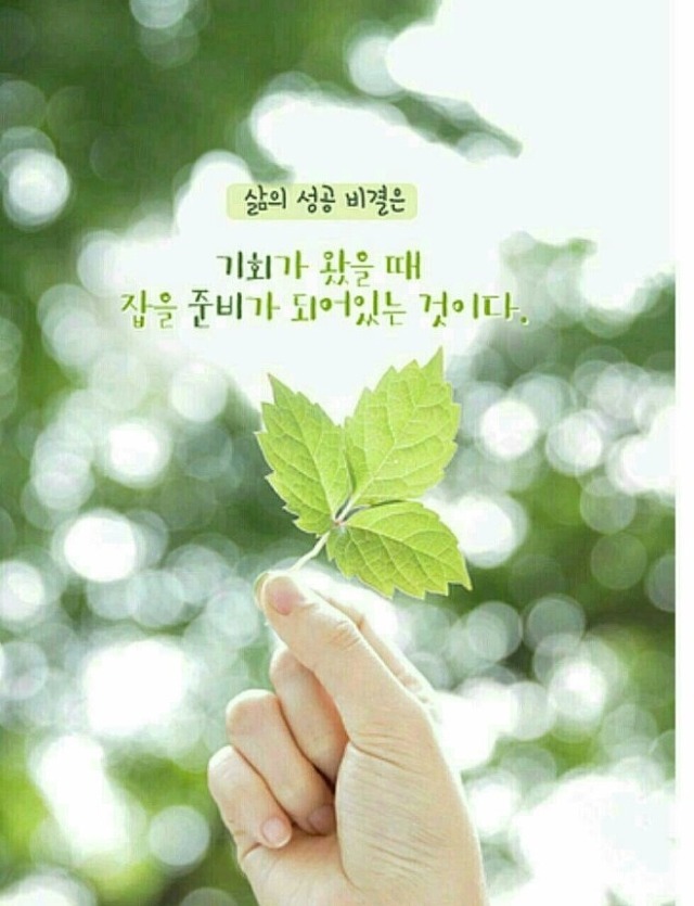 마루아라 이미지