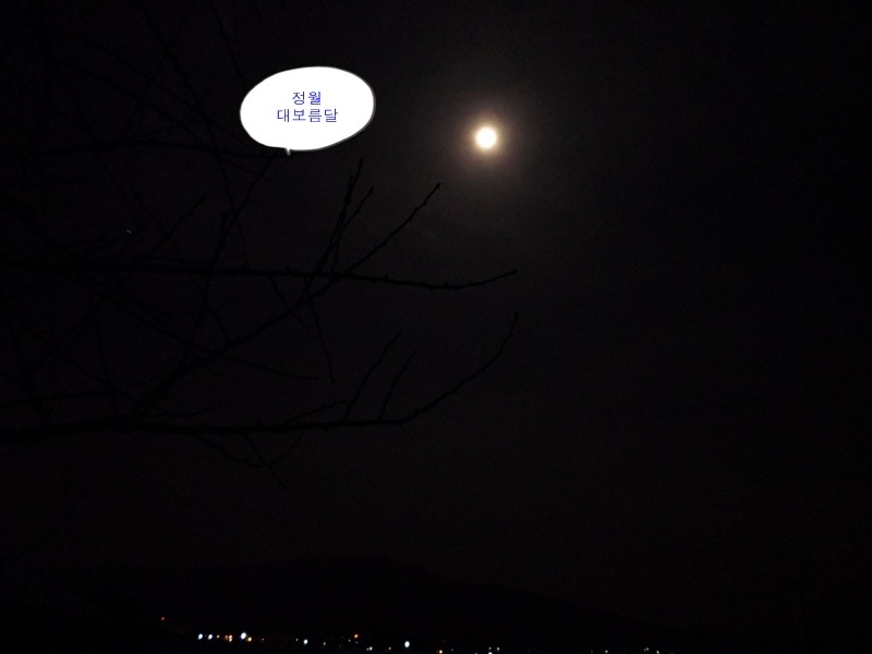 영동농원 이미지