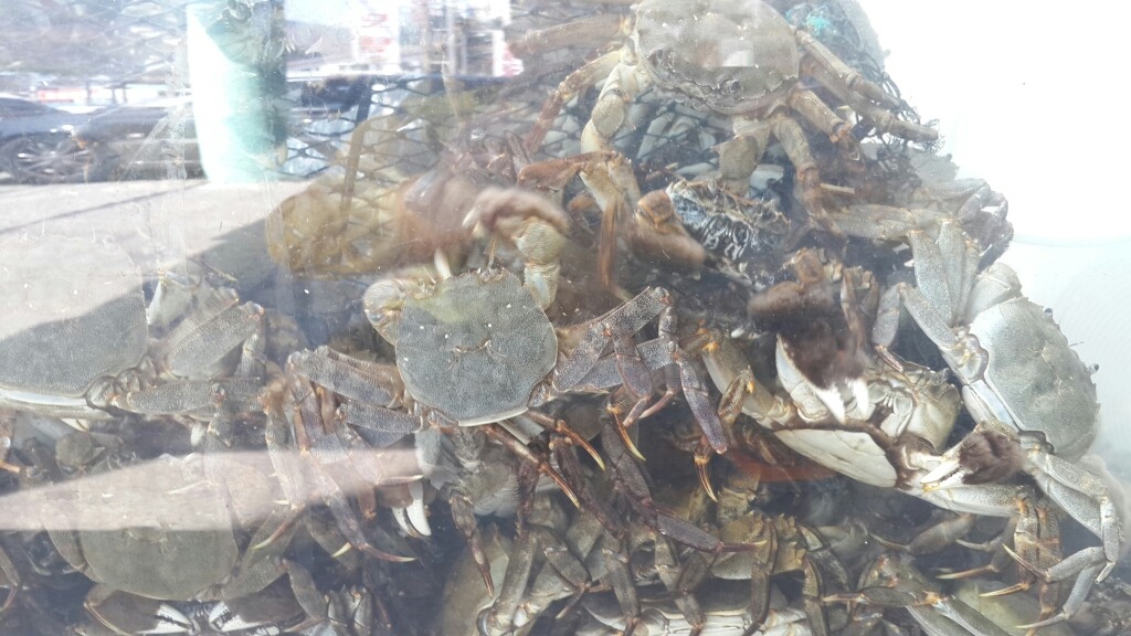동백식당 이미지