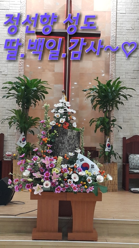 성도미화주 이미지