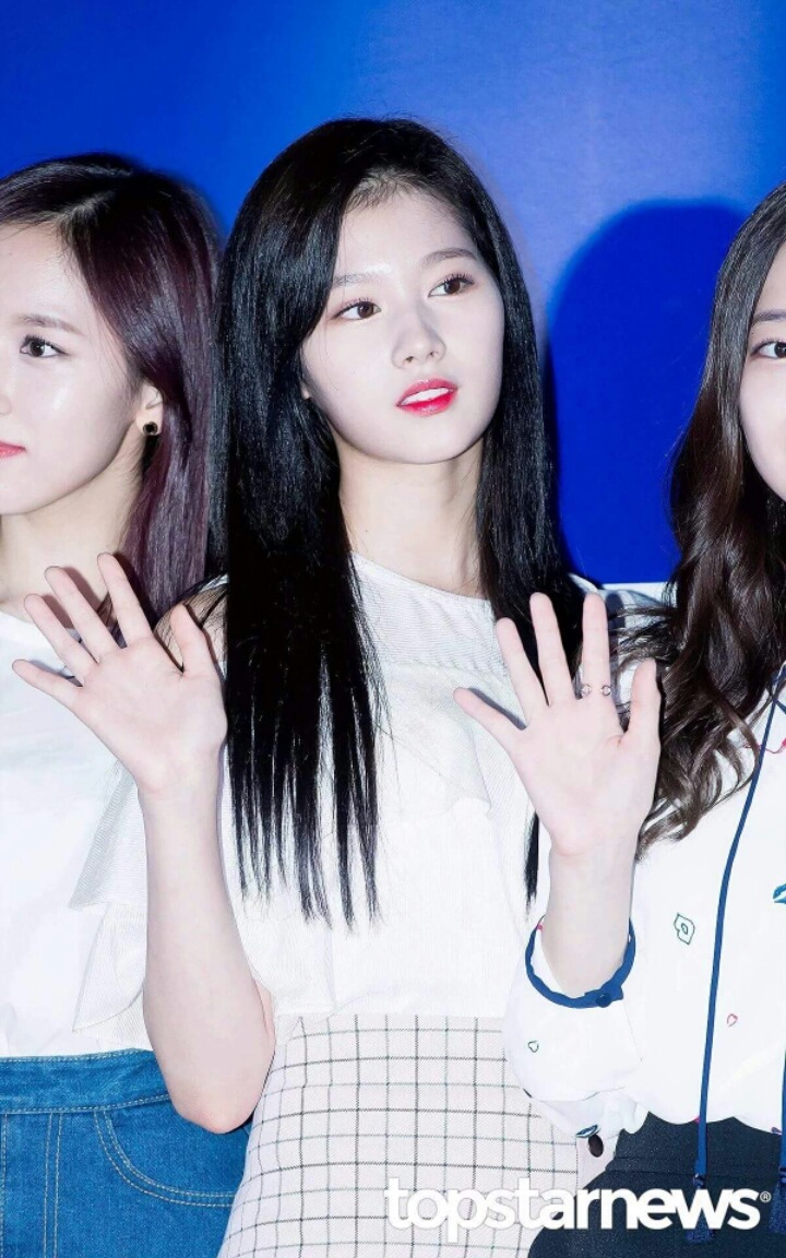 사나 정연이 나연이 | 인스티즈