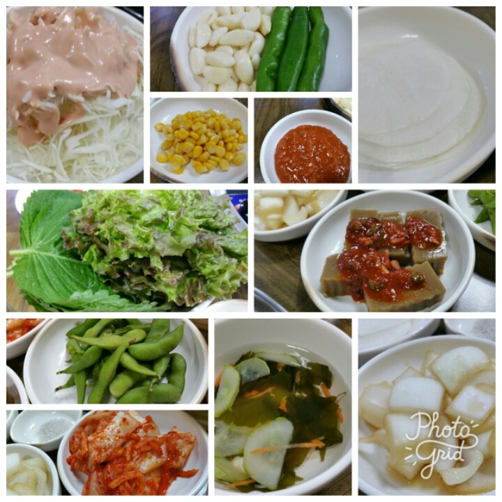 남양토담오리 이미지