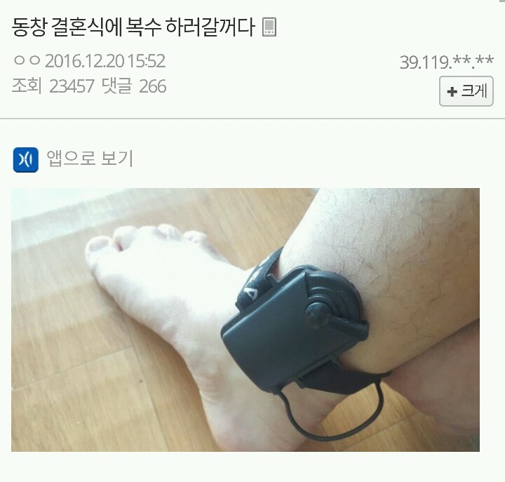 전자발찌 차고 복수한다는 고갤럼.jpg | 인스티즈