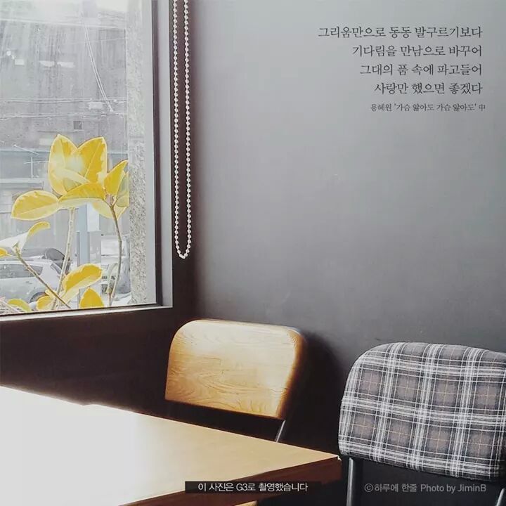 이나인 이미지