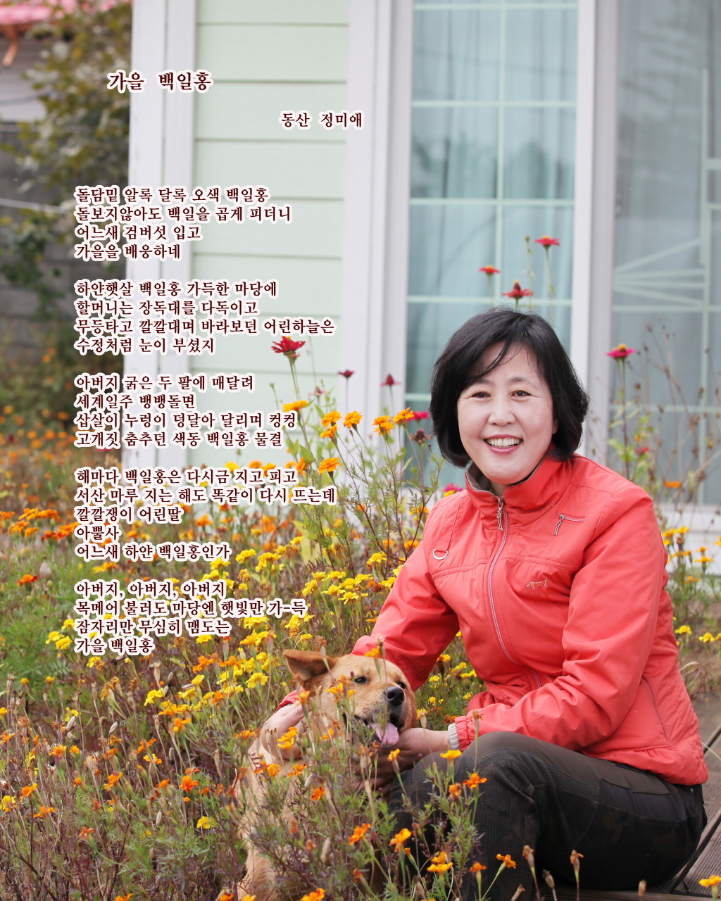 시사진 이미지