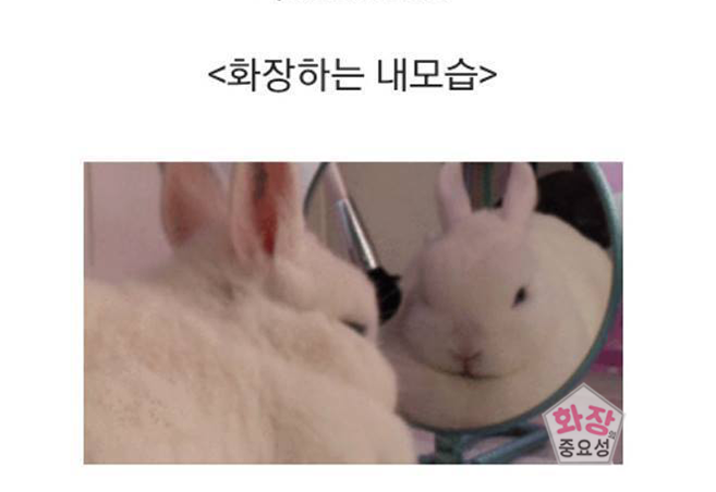 우리들의 화장이 매일 달라지는 이유 | 인스티즈