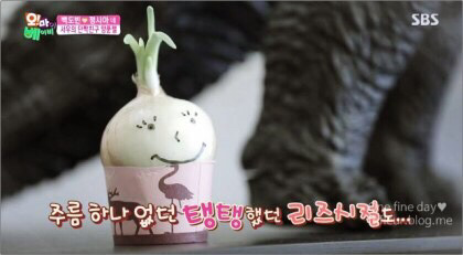[오마이베이비] 서우 단짝친구 양푼젤 머리카락 짤린날 | 인스티즈